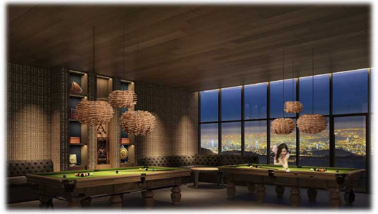 Pool Dart Room